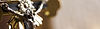 sts-subheader-holy-orders.jpg