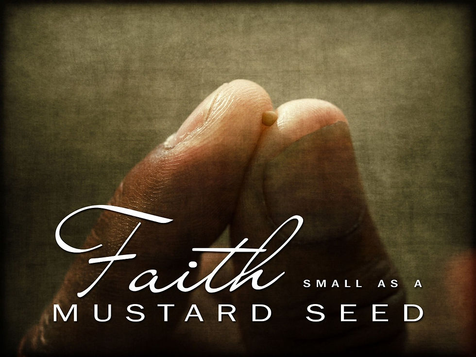 Faith as small as a mustard seed