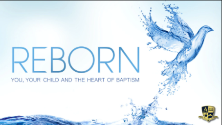 A graphic for the Reborn Series