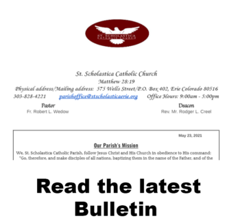 Bulletins-350x325.png