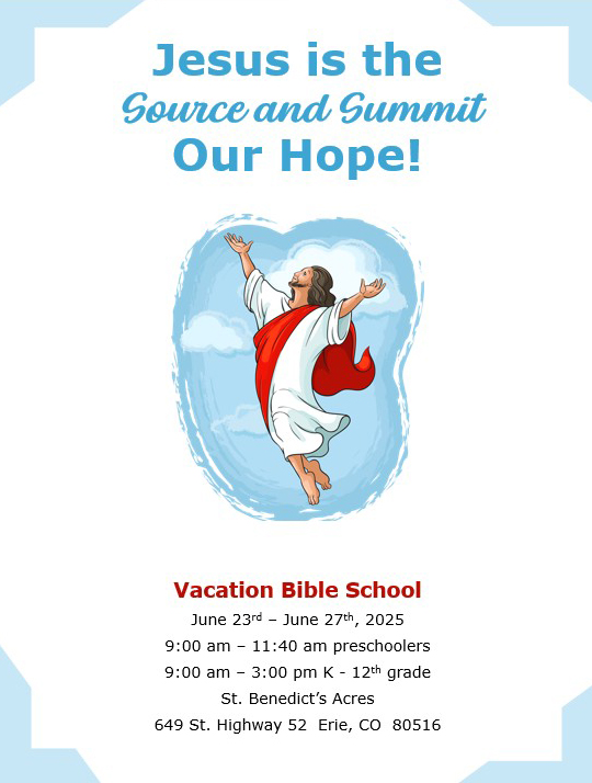 VBS Graphic Narrow